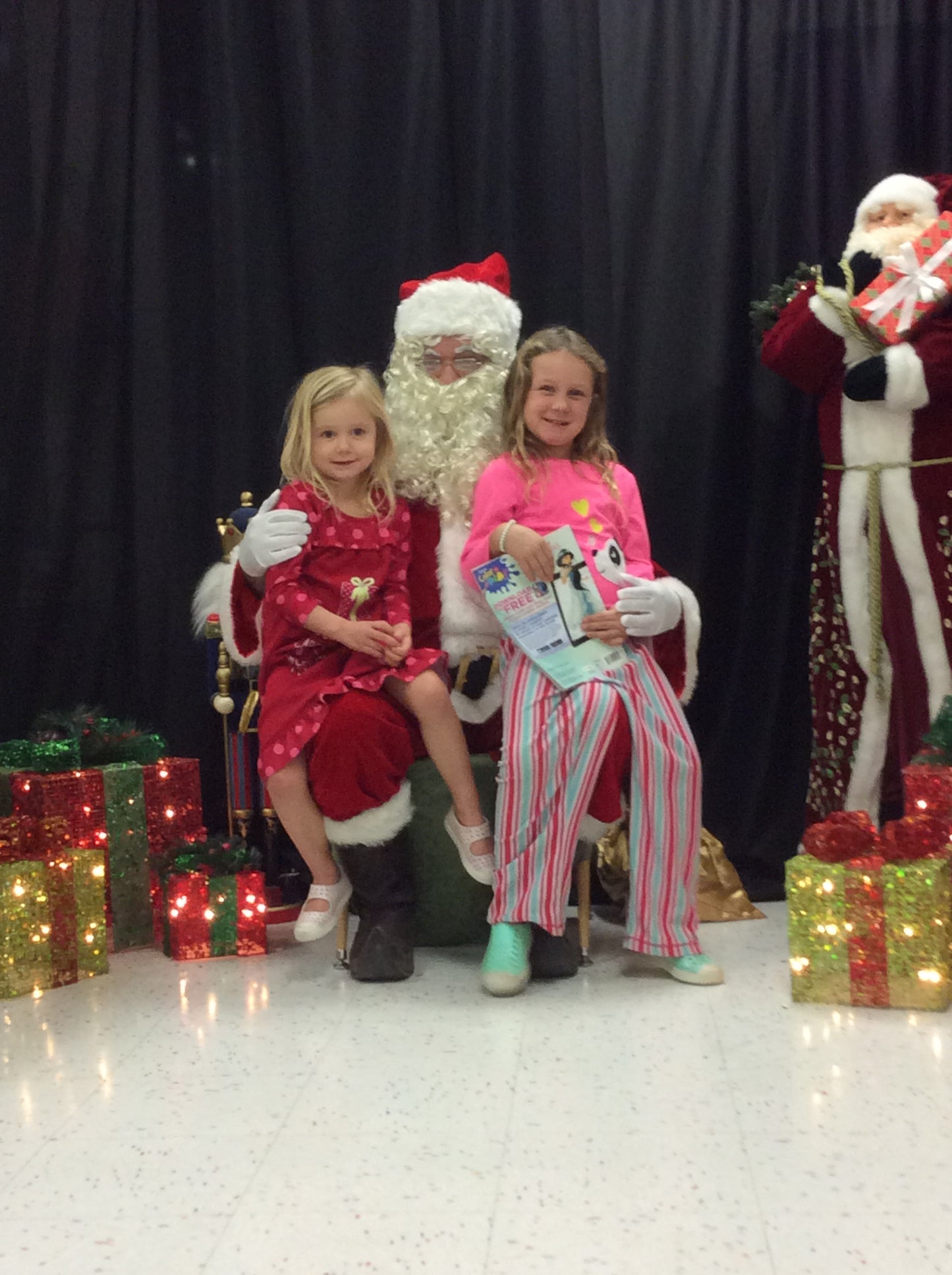 🎄 Holiday Christmas Show