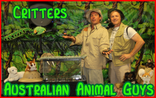 Australian Animal Guys — Critters! 🦘