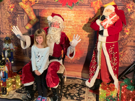 🎄 Holiday Christmas Show